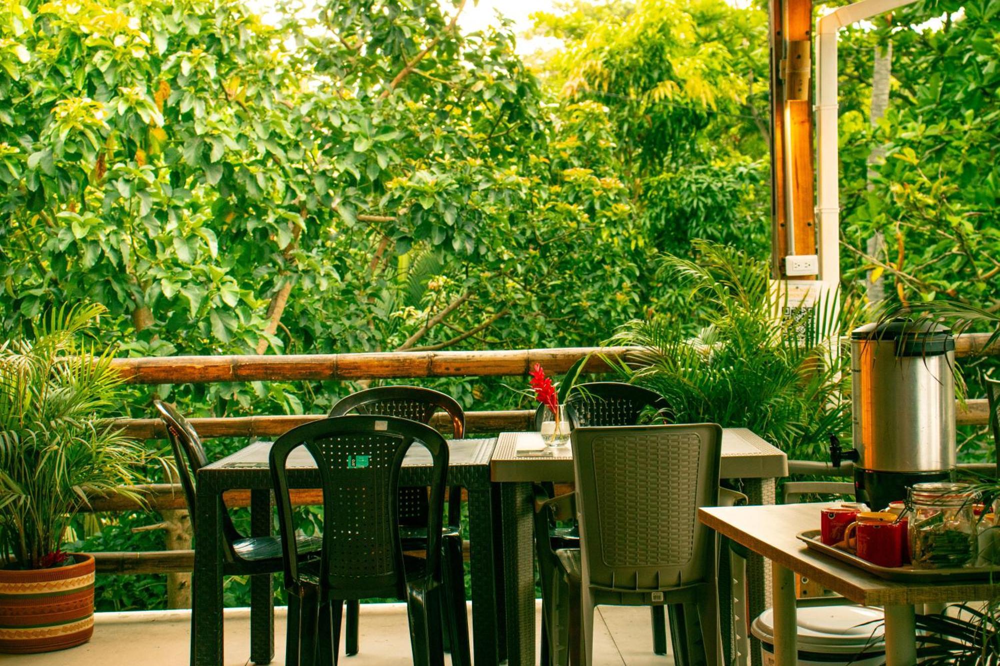 Tayrona Juancho'S House Hostel & Coworking Los Naranjos Esterno foto